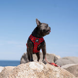 WOOF - Reversible Harness